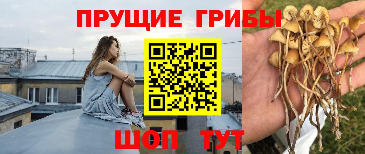 Бошки Шишки  Саранск  COCAIN  MDMA  МЕФ кристаллы  ГАШИШ  Вход с VPN 