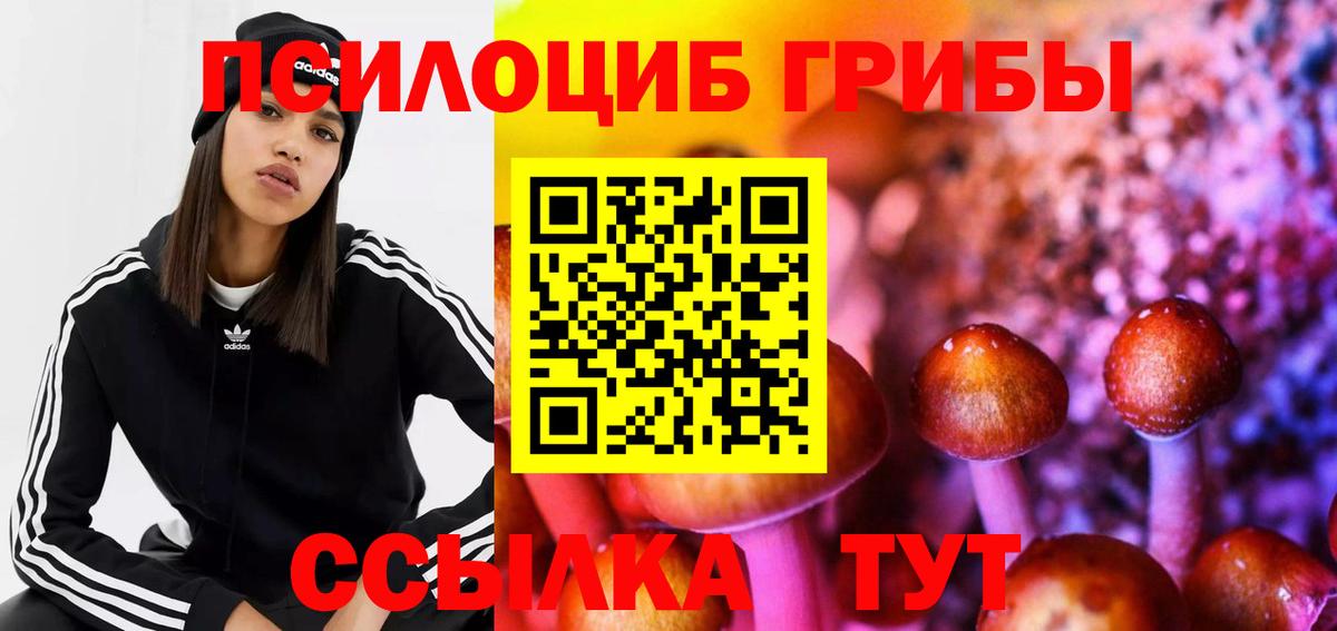 даркнет сайт  Вход с VPN  Саранск  Псилоцибиновые грибы Magic Shrooms 